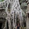 Ta Prohm Temple, Angkor, Cambodia