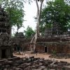 Ta Prohm Temple, Angkor, Cambodia