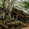 Ta Prohm Temple, Angkor, Cambodia