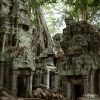 Ta Prohm Temple, Angkor, Cambodia